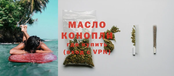 spice Богородицк